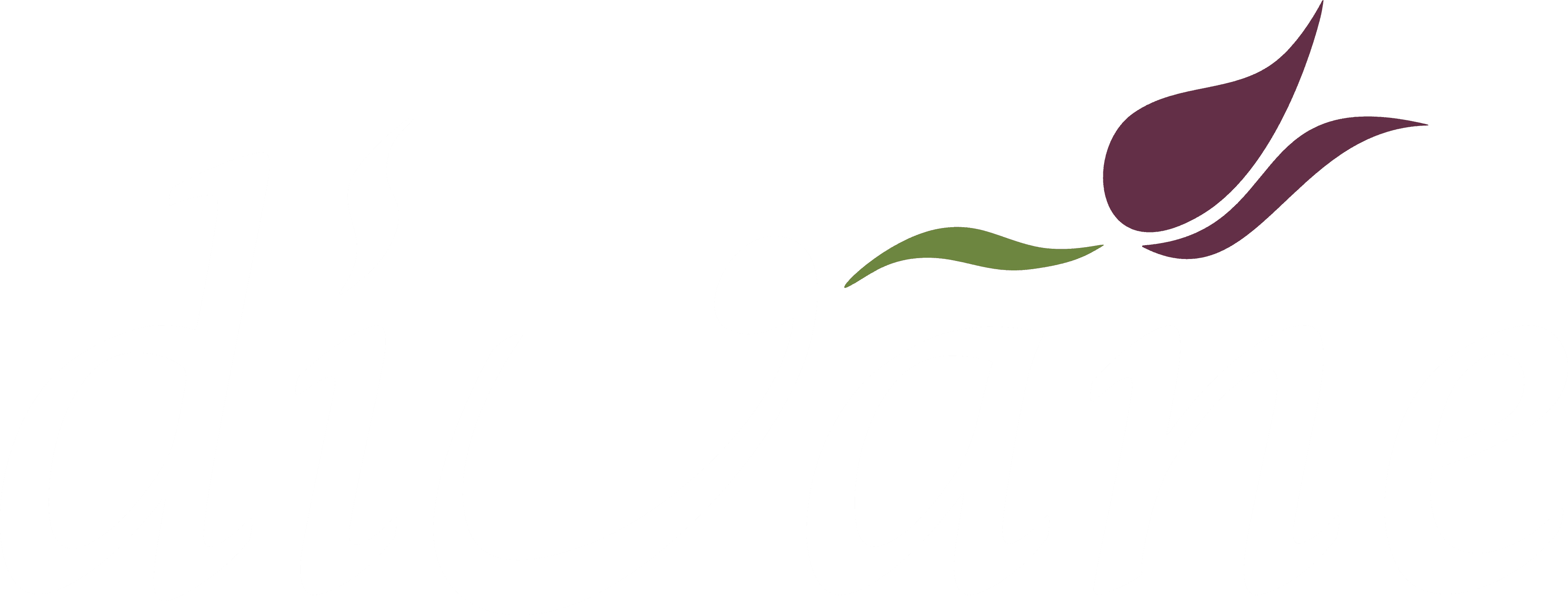 divane logo beyaz.png