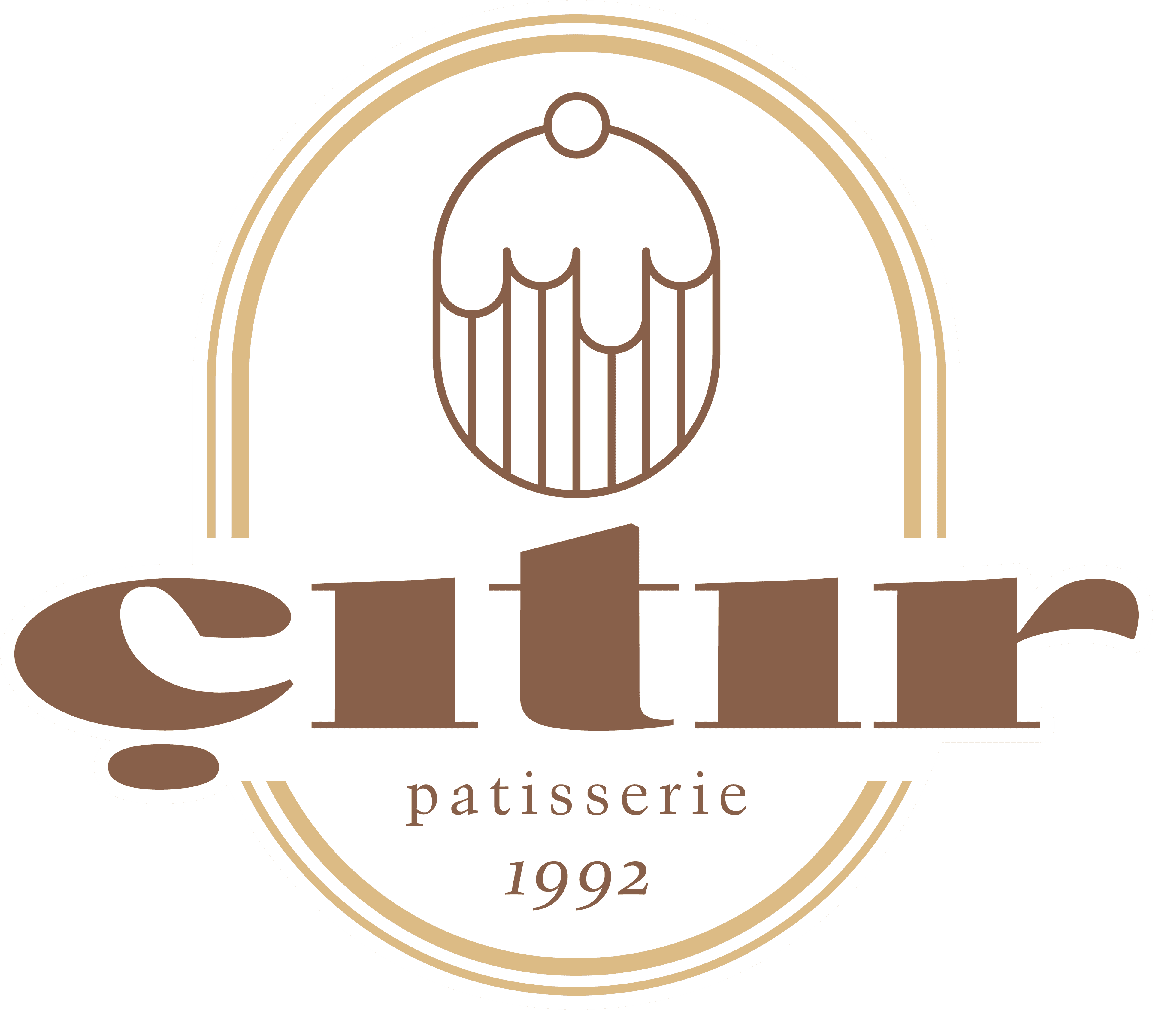 logo citir.png